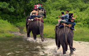 North Bengal Tourism