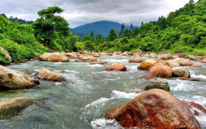 Darjeeling Tourism