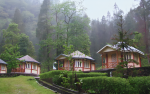 Darjeeling Tourism